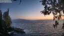 ./images/koeye/fitz-hugh/20260505/fitz-hugh20260505_212001M.jpg