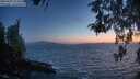 ./images/koeye/fitz-hugh/20260505/fitz-hugh20260505_213502M.jpg