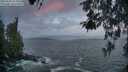 ./images/koeye/fitz-hugh/20260506/fitz-hugh20260506_054501M.jpg