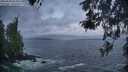 ./images/koeye/fitz-hugh/20260506/fitz-hugh20260506_055002M.jpg