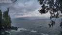 ./images/koeye/fitz-hugh/20260506/fitz-hugh20260506_055501M.jpg