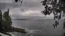 ./images/koeye/fitz-hugh/20260506/fitz-hugh20260506_075001M.jpg