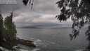 ./images/koeye/fitz-hugh/20260506/fitz-hugh20260506_075501M.jpg