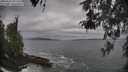 ./images/koeye/fitz-hugh/20260506/fitz-hugh20260506_081501M.jpg