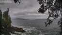 ./images/koeye/fitz-hugh/20260506/fitz-hugh20260506_084502M.jpg