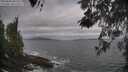 ./images/koeye/fitz-hugh/20260506/fitz-hugh20260506_085502M.jpg
