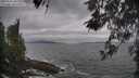 ./images/koeye/fitz-hugh/20260506/fitz-hugh20260506_090001M.jpg