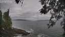 ./images/koeye/fitz-hugh/20260506/fitz-hugh20260506_092501M.jpg