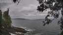 ./images/koeye/fitz-hugh/20260506/fitz-hugh20260506_093001M.jpg