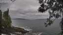 ./images/koeye/fitz-hugh/20260506/fitz-hugh20260506_093501M.jpg