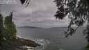 ./images/koeye/fitz-hugh/20260506/fitz-hugh20260506_094001M.jpg