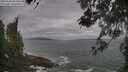 ./images/koeye/fitz-hugh/20260506/fitz-hugh20260506_094501M.jpg