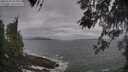./images/koeye/fitz-hugh/20260506/fitz-hugh20260506_095001M.jpg