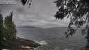 ./images/koeye/fitz-hugh/20260506/fitz-hugh20260506_095501M.jpg