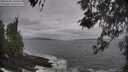 ./images/koeye/fitz-hugh/20260506/fitz-hugh20260506_100501M.jpg