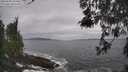 ./images/koeye/fitz-hugh/20260506/fitz-hugh20260506_102502M.jpg