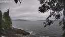 ./images/koeye/fitz-hugh/20260506/fitz-hugh20260506_103001M.jpg