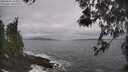 ./images/koeye/fitz-hugh/20260506/fitz-hugh20260506_104001M.jpg