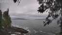 ./images/koeye/fitz-hugh/20260506/fitz-hugh20260506_104501M.jpg