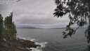 ./images/koeye/fitz-hugh/20260506/fitz-hugh20260506_105501M.jpg