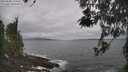 ./images/koeye/fitz-hugh/20260506/fitz-hugh20260506_110501M.jpg
