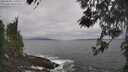 ./images/koeye/fitz-hugh/20260506/fitz-hugh20260506_111001M.jpg