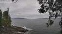 ./images/koeye/fitz-hugh/20260506/fitz-hugh20260506_113501M.jpg