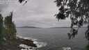 ./images/koeye/fitz-hugh/20260506/fitz-hugh20260506_114501M.jpg