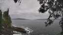 ./images/koeye/fitz-hugh/20260506/fitz-hugh20260506_115002M.jpg