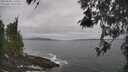 ./images/koeye/fitz-hugh/20260506/fitz-hugh20260506_120001M.jpg
