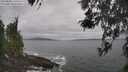 ./images/koeye/fitz-hugh/20260506/fitz-hugh20260506_120502M.jpg