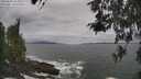 ./images/koeye/fitz-hugh/20260506/fitz-hugh20260506_123001M.jpg