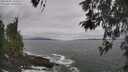 ./images/koeye/fitz-hugh/20260506/fitz-hugh20260506_123501M.jpg