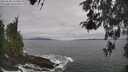 ./images/koeye/fitz-hugh/20260506/fitz-hugh20260506_124501M.jpg