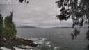 ./images/koeye/fitz-hugh/20260506/fitz-hugh20260506_125001M.jpg