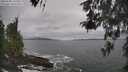 ./images/koeye/fitz-hugh/20260506/fitz-hugh20260506_125501M.jpg