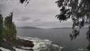 ./images/koeye/fitz-hugh/20260506/fitz-hugh20260506_130002M.jpg