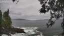 ./images/koeye/fitz-hugh/20260506/fitz-hugh20260506_130501M.jpg
