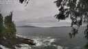 ./images/koeye/fitz-hugh/20260506/fitz-hugh20260506_131501M.jpg
