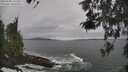 ./images/koeye/fitz-hugh/20260506/fitz-hugh20260506_132501M.jpg