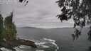 ./images/koeye/fitz-hugh/20260506/fitz-hugh20260506_133501M.jpg