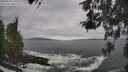 ./images/koeye/fitz-hugh/20260506/fitz-hugh20260506_141001M.jpg