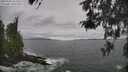 ./images/koeye/fitz-hugh/20260506/fitz-hugh20260506_152001M.jpg