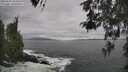 ./images/koeye/fitz-hugh/20260506/fitz-hugh20260506_153501M.jpg
