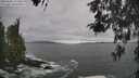 ./images/koeye/fitz-hugh/20260506/fitz-hugh20260506_155502M.jpg