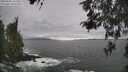 ./images/koeye/fitz-hugh/20260506/fitz-hugh20260506_161502M.jpg