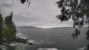 ./images/koeye/fitz-hugh/20260506/fitz-hugh20260506_162002M.jpg
