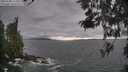 ./images/koeye/fitz-hugh/20260506/fitz-hugh20260506_174001M.jpg