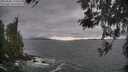 ./images/koeye/fitz-hugh/20260506/fitz-hugh20260506_174502M.jpg