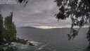 ./images/koeye/fitz-hugh/20260506/fitz-hugh20260506_175002M.jpg
